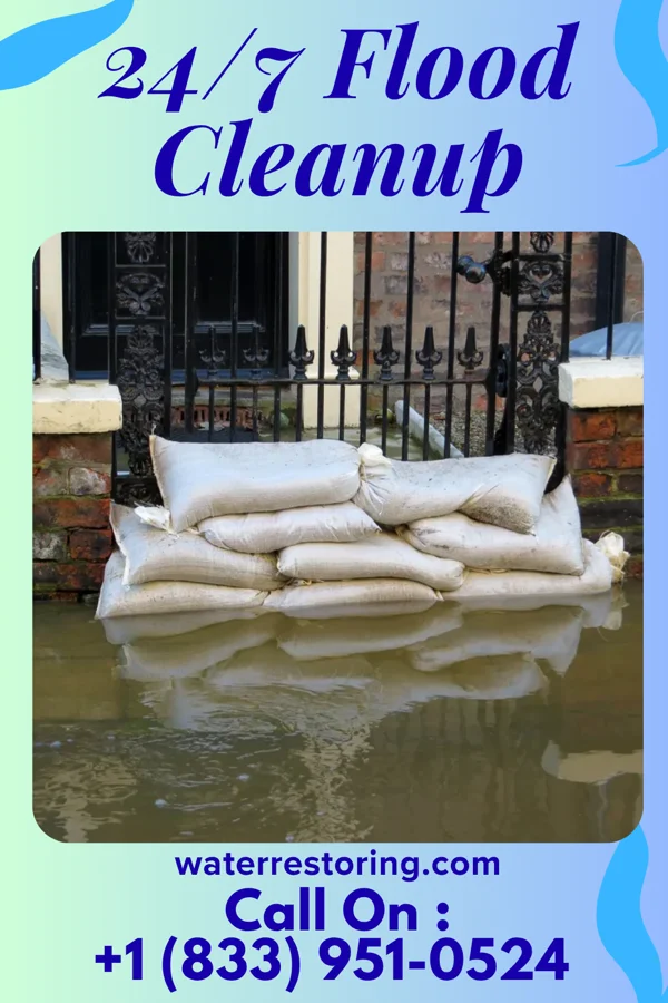 24/7 Flood Cleanup in Jasper, TX