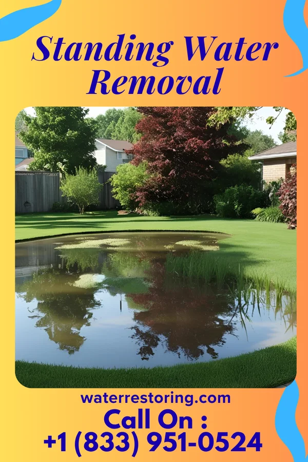 Standing Water Removal in Jasper, TX